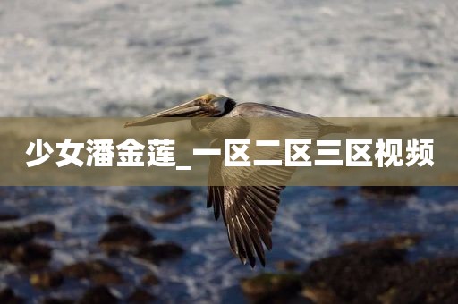 少女潘金莲_一区二区三区视频