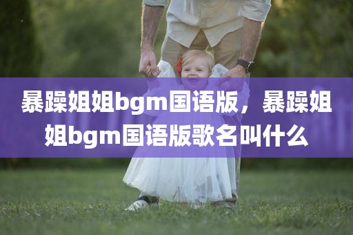 暴躁姐姐bgm国语版，暴躁姐姐bgm国语版歌名叫什么