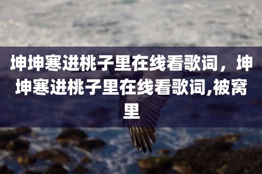 坤坤寒进桃子里在线看歌词，坤坤寒进桃子里在线看歌词,被窝里