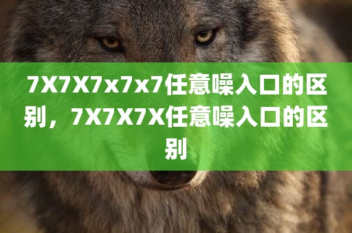 7X7X7x7x7任意噪入口的区别，7X7X7X任意噪入口的区别