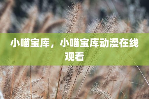 小喵宝库，小喵宝库动漫在线观看