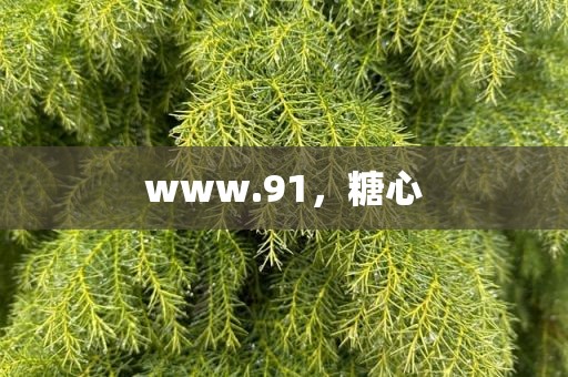 www.91，糖心