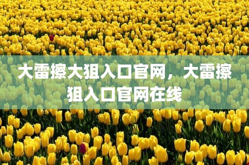 大雷擦大狙入口官网，大雷擦狙入口官网在线