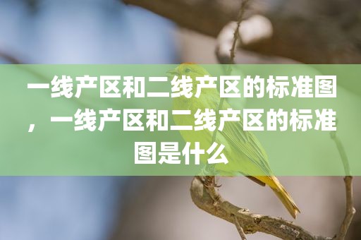 一线产区和二线产区的标准图，一线产区和二线产区的标准图是什么