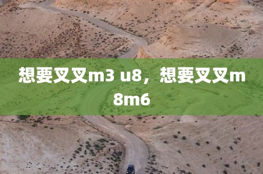 想要叉叉m3 u8，想要叉叉m8m6