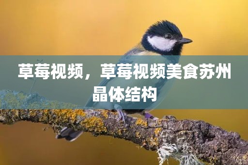 草莓视频，草莓视频美食苏州晶体结构