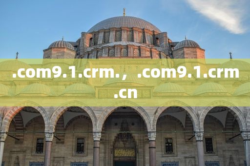 .com9.1.crm.，.com9.1.crm.cn