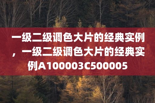 一级二级调色大片的经典实例，一级二级调色大片的经典实例A100003C500005