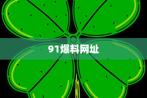 91爆料网址
