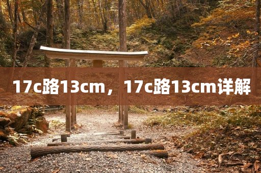 17c路13cm，17c路13cm详解