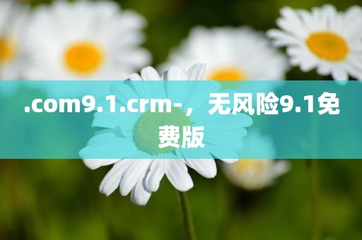 .com9.1.crm-，无风险9.1免费版