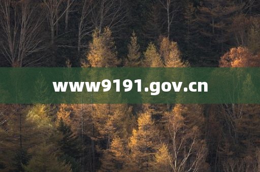 www9191.gov.cn