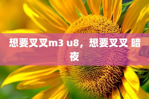 想要叉叉m3 u8，想要叉叉 暗夜