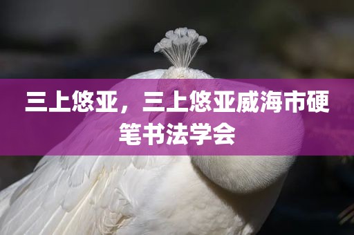 三上悠亚，三上悠亚威海市硬笔书法学会