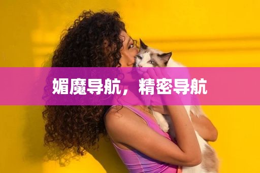 媚魔导航，精密导航