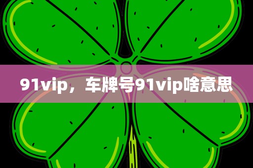 91vip，车牌号91vip啥意思