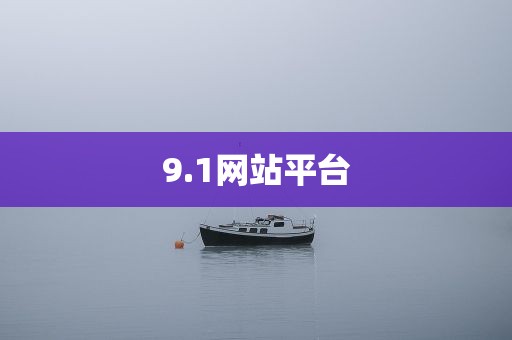 9.1网站平台