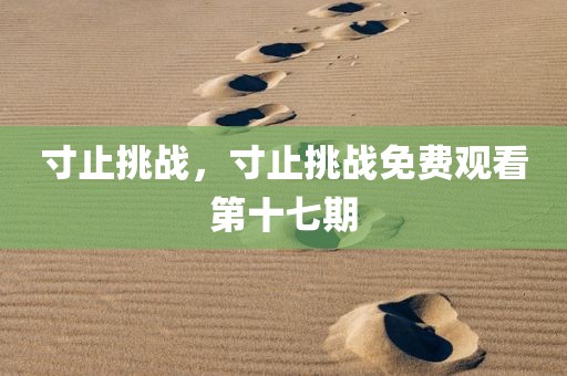 寸止挑战，寸止挑战免费观看第十七期