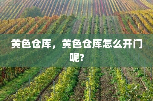 黄色仓库，黄色仓库怎么开门呢?