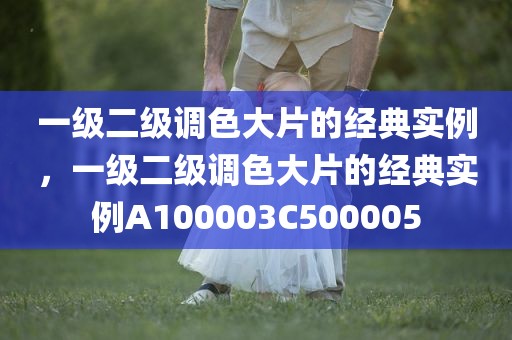 一级二级调色大片的经典实例，一级二级调色大片的经典实例A100003C500005