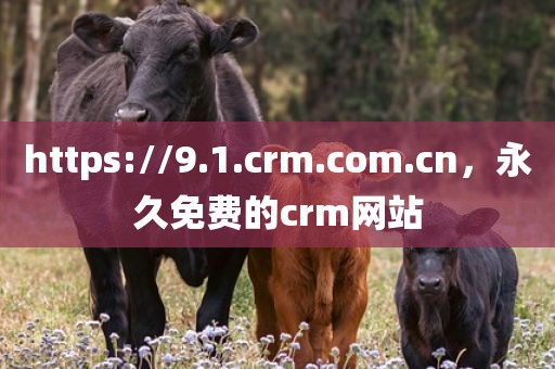 https://9.1.crm.com.cn，永久免费的crm网站