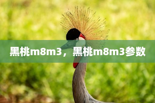 黑桃m8m3，黑桃m8m3参数