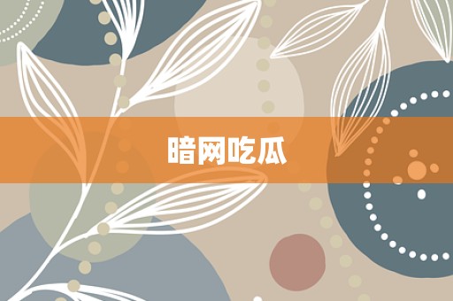 暗网吃瓜