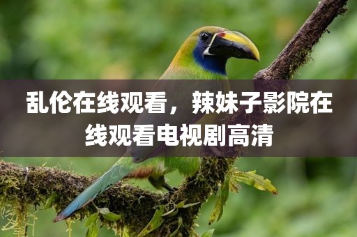 乱伦在线观看，辣妹子影院在线观看电视剧高清