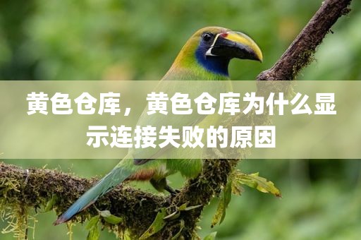 黄色仓库，黄色仓库为什么显示连接失败的原因
