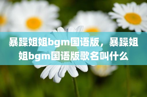 暴躁姐姐bgm国语版，暴躁姐姐bgm国语版歌名叫什么