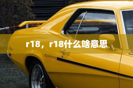 r18，r18什么啥意思