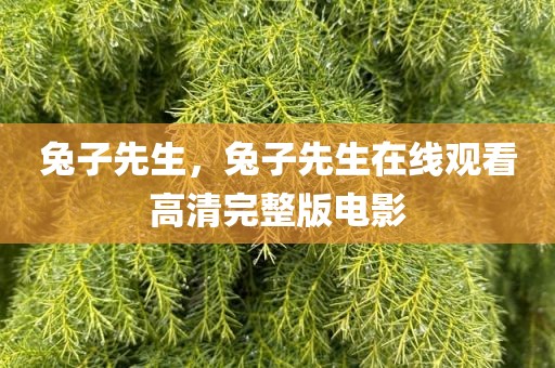 兔子先生，兔子先生在线观看高清完整版电影