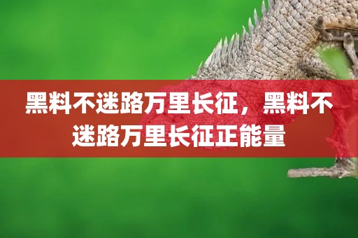 黑料不迷路万里长征，黑料不迷路万里长征正能量