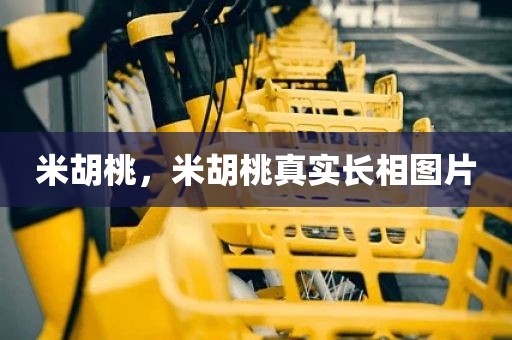 米胡桃，米胡桃真实长相图片