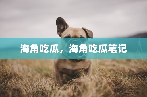 海角吃瓜，海角吃瓜笔记