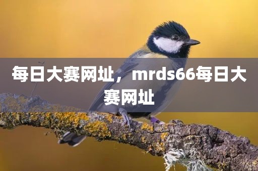 每日大赛网址，mrds66每日大赛网址