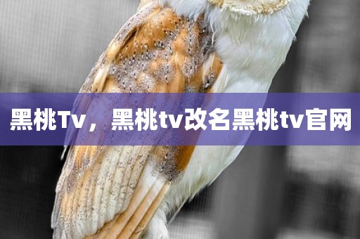 黑桃Tv，黑桃tv改名黑桃tv官网