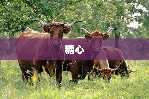 糖心