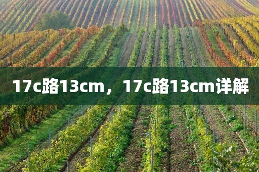 17c路13cm，17c路13cm详解