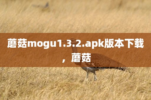 蘑菇mogu1.3.2.apk版本下载，蘑菇