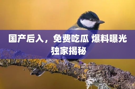 国产后入，免费吃瓜 爆料曝光 独家揭秘