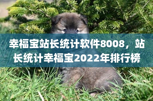 幸福宝站长统计软件8008，站长统计幸福宝2022年排行榜
