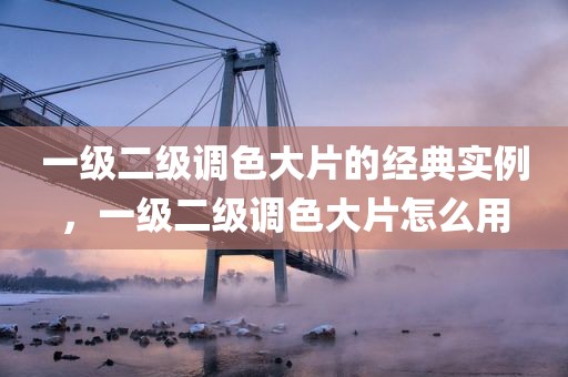 一级二级调色大片的经典实例，一级二级调色大片怎么用