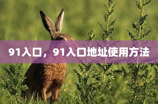 91入口，91入口地址使用方法