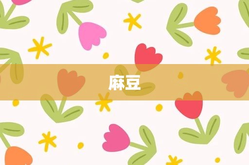 麻豆