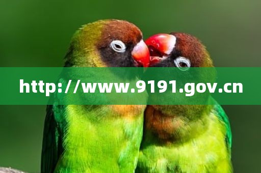 http://www.9191.gov.cn