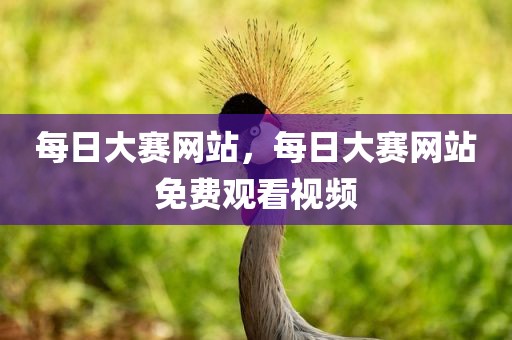 每日大赛网站，每日大赛网站免费观看视频