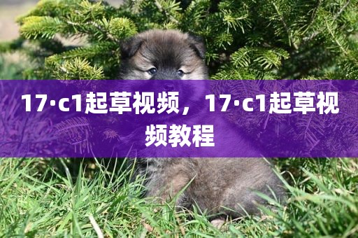 17·c1起草视频，17·c1起草视频教程
