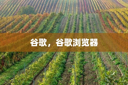 谷歌，谷歌浏览器