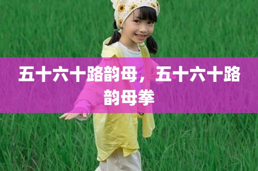 五十六十路韵母，五十六十路韵母拳